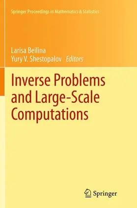 Shestopalov / Beilina |  Inverse Problems and Large-Scale Computations | Buch |  Sack Fachmedien