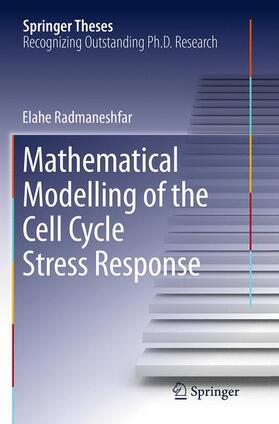 Radmaneshfar |  Mathematical Modelling of the Cell Cycle Stress Response | Buch |  Sack Fachmedien