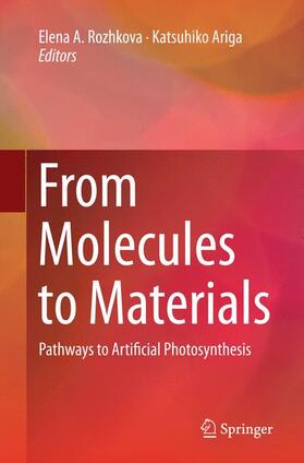 Ariga / Rozhkova |  From Molecules to Materials | Buch |  Sack Fachmedien