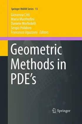 Citti / Manfredini / Uguzzoni |  Geometric Methods in PDE¿s | Buch |  Sack Fachmedien