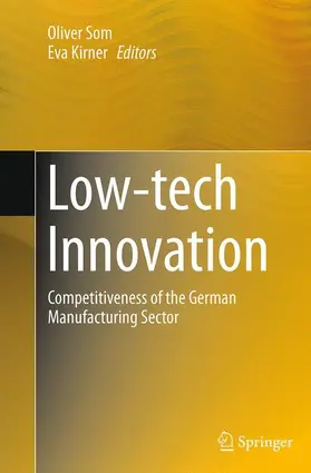 Kirner / Som |  Low-tech Innovation | Buch |  Sack Fachmedien