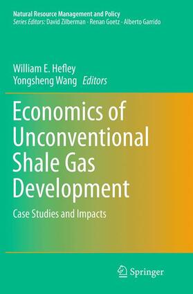 Wang / Hefley |  Economics of Unconventional Shale Gas Development | Buch |  Sack Fachmedien