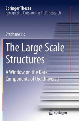 Ilic / Ilic |  The Large Scale Structures | Buch |  Sack Fachmedien