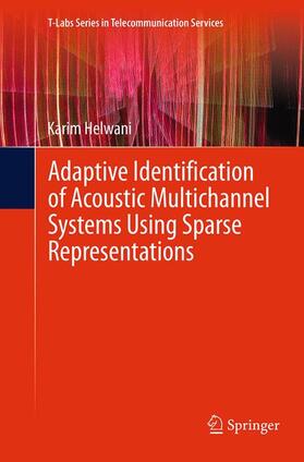 Helwani |  Adaptive Identification of Acoustic Multichannel Systems Using Sparse Representations | Buch |  Sack Fachmedien