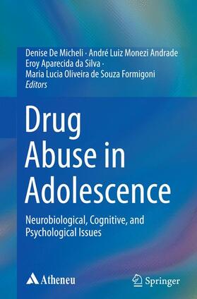 De Micheli / de Souza Formigoni / Andrade |  Drug Abuse in Adolescence | Buch |  Sack Fachmedien
