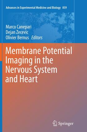 Canepari / Bernus / Zecevic |  Membrane Potential Imaging in the Nervous System and Heart | Buch |  Sack Fachmedien