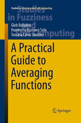 Beliakov / Calvo / Bustince Sola |  A Practical Guide to Averaging Functions | Buch |  Sack Fachmedien