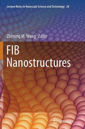Wang |  FIB Nanostructures | Buch |  Sack Fachmedien