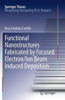 Córdoba Castillo |  Functional Nanostructures Fabricated by Focused Electron/Ion Beam Induced Deposition | Buch |  Sack Fachmedien