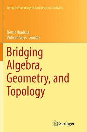 Veys / Ibadula |  Bridging Algebra, Geometry, and Topology | Buch |  Sack Fachmedien