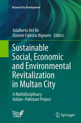 Bignami / Del Bo |  Sustainable Social, Economic and Environmental Revitalization in Multan City | Buch |  Sack Fachmedien