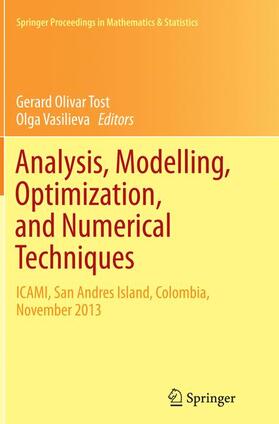 Vasilieva / Tost |  Analysis, Modelling, Optimization, and Numerical Techniques | Buch |  Sack Fachmedien