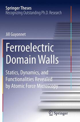 Guyonnet |  Ferroelectric Domain Walls | Buch |  Sack Fachmedien