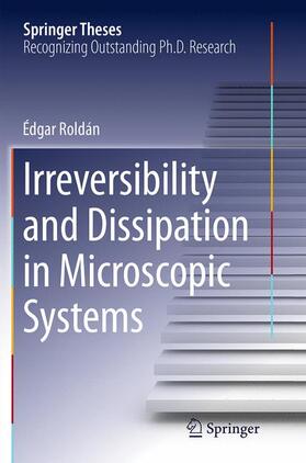 Roldán |  Irreversibility and Dissipation in Microscopic Systems | Buch |  Sack Fachmedien