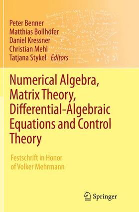 Benner / Bollhöfer / Stykel |  Numerical Algebra, Matrix Theory, Differential-Algebraic Equations and Control Theory | Buch |  Sack Fachmedien