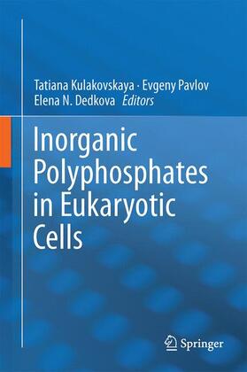 Kulakovskaya / Dedkova / Pavlov |  Inorganic Polyphosphates in Eukaryotic Cells | Buch |  Sack Fachmedien