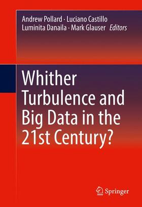 Pollard / Glauser / Castillo |  Whither Turbulence and Big Data in the 21st Century? | Buch |  Sack Fachmedien
