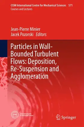 Pozorski / Minier |  Particles in Wall-Bounded Turbulent Flows: Deposition, Re-Suspension and Agglomeration | Buch |  Sack Fachmedien