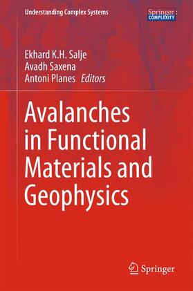 Salje / Planes / Saxena |  Avalanches in Functional Materials and Geophysics | Buch |  Sack Fachmedien