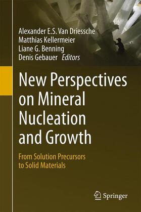 Driessche / Van Driessche / Kellermeier |  New Perspectives on Mineral Nucleation and Growth | Buch |  Sack Fachmedien