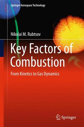 Rubtsov |  Key Factors of Combustion | Buch |  Sack Fachmedien