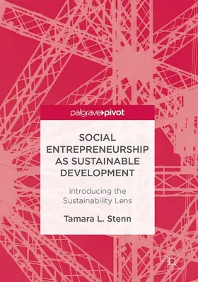 Stenn |  Social Entrepreneurship as Sustainable Development | Buch |  Sack Fachmedien