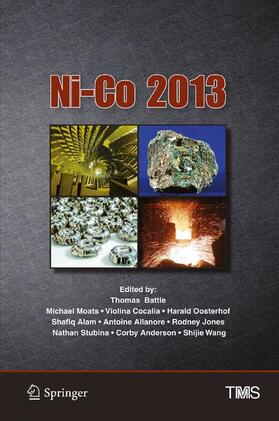 Battle / Alam / Moats |  Ni-Co 2013 | Buch |  Sack Fachmedien