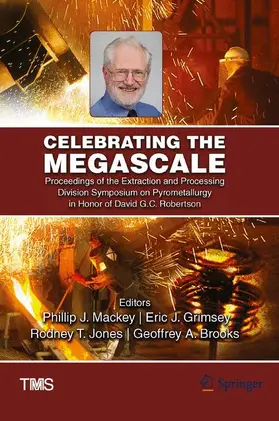 Mackey / Brooks / Grimsey |  Celebrating the Megascale | Buch |  Sack Fachmedien