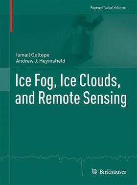 Heymsfield / Gultepe |  Ice Fog, Ice Clouds, and Remote Sensing | Buch |  Sack Fachmedien