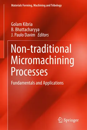 Kibria / Bhattacharyya / Davim |  Non-traditional Micromachining Processes | eBook | Sack Fachmedien