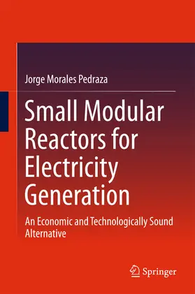 Morales Pedraza |  Small Modular Reactors for Electricity Generation | eBook | Sack Fachmedien