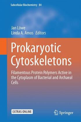 Amos / Löwe |  Prokaryotic Cytoskeletons | Buch |  Sack Fachmedien