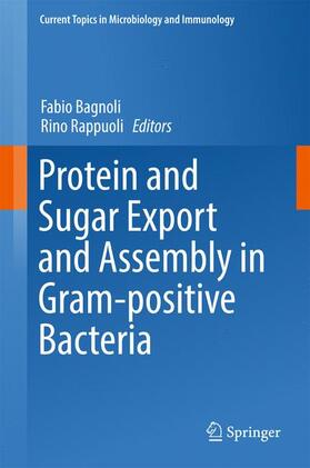 Rappuoli / Bagnoli |  Protein and Sugar Export and Assembly in Gram-positive Bacteria | Buch |  Sack Fachmedien