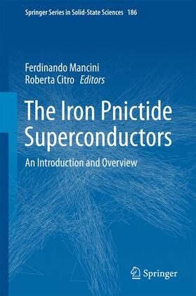 Citro / Mancini |  The Iron Pnictide Superconductors | Buch |  Sack Fachmedien