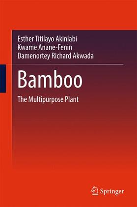 Akinlabi / Akwada / Anane-Fenin |  Bamboo | Buch |  Sack Fachmedien