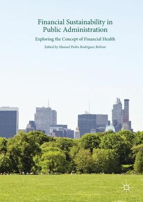 Rodríguez Bolívar |  Financial Sustainability in Public Administration | Buch |  Sack Fachmedien