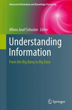 Schuster |  Understanding Information | Buch |  Sack Fachmedien