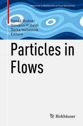 Bodnár / Necasová / Galdi |  Particles in Flows | Buch |  Sack Fachmedien