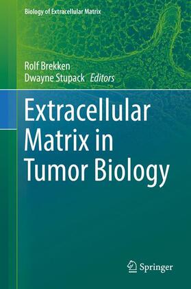 Brekken / Stupack |  Extracellular Matrix in Tumor Biology | Buch |  Sack Fachmedien