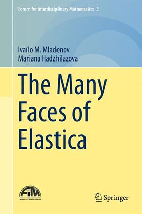 Hadzhilazova / Mladenov |  The Many Faces of Elastica | Buch |  Sack Fachmedien