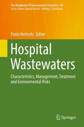 Verlicchi |  Hospital Wastewaters | Buch |  Sack Fachmedien