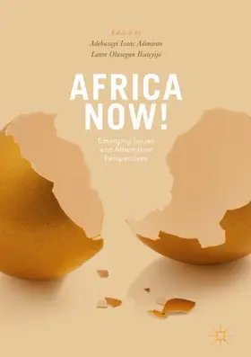 Ikuteyijo / Adeniran | Africa Now! | Buch | 978-3-319-62442-6 | sack.de