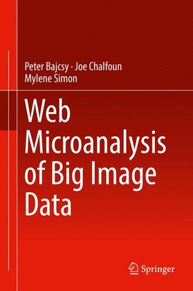 Bajcsy / Simon / Chalfoun |  Web Microanalysis of Big Image Data | Buch |  Sack Fachmedien