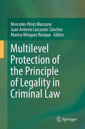 Pérez Manzano / Mínguez Rosique / Lascuraín Sánchez |  Multilevel Protection of the Principle of Legality in Criminal Law | Buch |  Sack Fachmedien