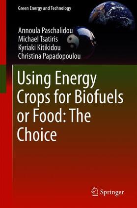 Paschalidou / Tsatiris / Kitikidou |  Using Energy Crops for Biofuels or Food: The Choice | Buch |  Sack Fachmedien