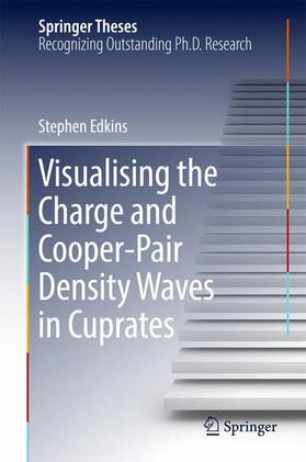 Edkins |  Visualising the Charge and Cooper-Pair Density Waves in Cuprates | Buch |  Sack Fachmedien