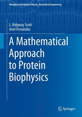 Fernández / Scott |  A Mathematical Approach to Protein Biophysics | Buch |  Sack Fachmedien