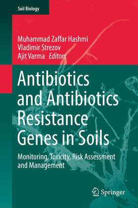 Hashmi / Strezov / Varma |  Antibiotics and Antibiotics Resistance Genes in Soils | eBook | Sack Fachmedien