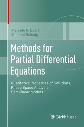 Reissig / Ebert |  Methods for Partial Differential Equations | Buch |  Sack Fachmedien