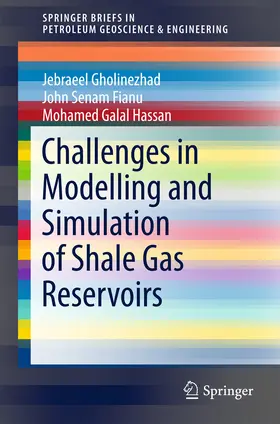 Gholinezhad / Fianu / Galal Hassan |  Challenges in Modelling and Simulation of Shale Gas Reservoirs | eBook | Sack Fachmedien